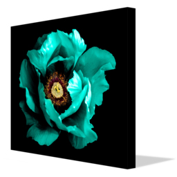 Winter Floral Surreal dark chrome cyan peony flower macro Canvas Print - Teal / 127cm - thumbnail 2
