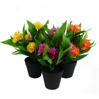 Artificial Flowering Floral Freesia House Pot Plants Ready to Display - Freesia Pink Orange Yellow