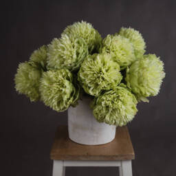 Lush Floral Bloom Peony - Green - thumbnail 5