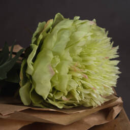 Lush Floral Bloom Peony - Green - thumbnail 3