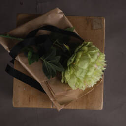 Lush Floral Bloom Peony - Green - thumbnail 2