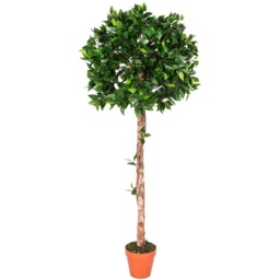 Homescapes Green 4ft Ficus Topiary Artificial Tree with Pot, 125 cm - Green - thumbnail 2