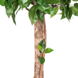 Homescapes Green 4ft Ficus Topiary Artificial Tree with Pot, 125 cm - Green - thumbnail 4