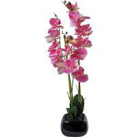 Artificial Orchid In Black Ceramic Planter 70cm - Pink