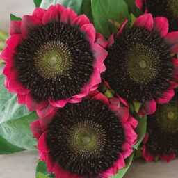 Artificial Sunflower Bouquet Arrangement - Red - thumbnail 4