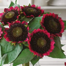 Artificial Sunflower Bouquet Arrangement - Red - thumbnail 5