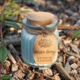 Winter Berry Soy Candle Pot Long Lasting Eco Friendly Fragrance - Teal - thumbnail 4
