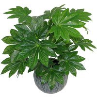 Leaf Design Aralia Artificial Foliage Plant with Pot - Aralia