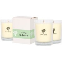 Soy Wax Scented Candles - 160g - Pack of 3 - Sage Retreat