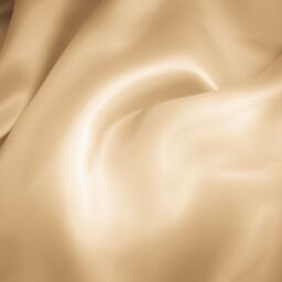 Champagne Mulberry Silk Pillowcase - Champagne - thumbnail 2