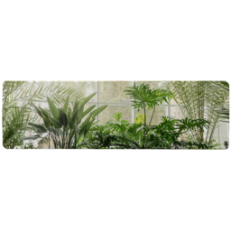 Green plants in botanical gardens Designer Runner Rug - Green - thumbnail 2
