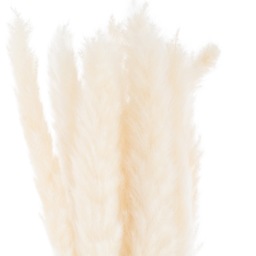 Mini Pampas Grass Bunch Of 15 - Small Faux Botanical - Dawn Pink - thumbnail 3
