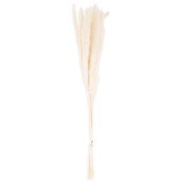 Mini Pampas Grass Bunch Of 15 - Small Faux Botanical - Dawn Pink - thumbnail 2