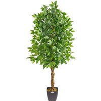 Artificial Ficus Tree in Pot - Green / Green Leaves / 150cm - thumbnail 1