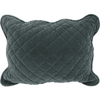 Premium Rich Cotton Velvet Luxury Cushion - Silver - image 1