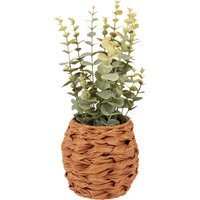 Eucalyptus in Water Hyacinth Basket 40cm - Green and Brown - image 1