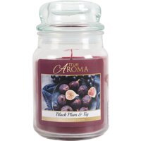 Black Plum and Fig Mason Jar Large - image 1