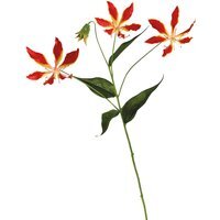 Artificial Single Gloria Lily Flower Stem L75cm - Red - thumbnail 1
