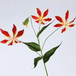 Artificial Single Gloria Lily Flower Stem L75cm - Red - thumbnail 3