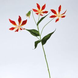 Artificial Single Gloria Lily Flower Stem L75cm - Red - thumbnail 2