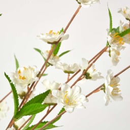 Homescapes Artificial Blossom Tree with Cream Silk Flowers - 5 Feet - Neutral - thumbnail 3