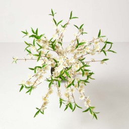 Homescapes Artificial Blossom Tree with Cream Silk Flowers - 5 Feet - Neutral - thumbnail 5