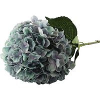 Giant Head Hydrangea Single Stem  - Lilac/Green - thumbnail 1