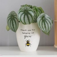 Thank You For Helping Me Grow Bee Ceramic Plant Pot - white