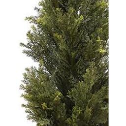 Artificial Cedar Cypress Confier Trees - 120cm Cedar Artificial / 120cm - thumbnail 2