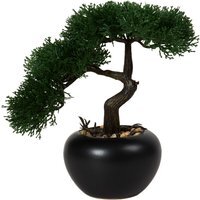 Bonsai Tree - Black - image 1