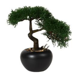 Bonsai Tree - Black - thumbnail 2