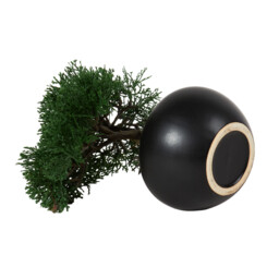 Bonsai Tree - Black - thumbnail 3