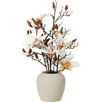 Magnolia Arrangement - Neutral - thumbnail 1