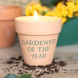 Gardener Of The Year Citronella Candle In Ceramic Pot - Orange - thumbnail 2