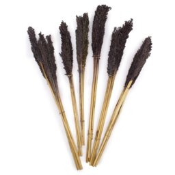 Vibrant Cantal Grass Bunch Dried Coloured Floral Decor - Black - thumbnail 2