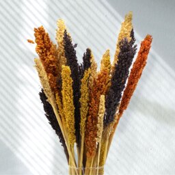 Vibrant Cantal Grass Bunch Dried Coloured Floral Decor - Black - thumbnail 3