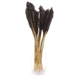 Vibrant Cantal Grass Bunch Dried Coloured Floral Decor - Black - thumbnail 5