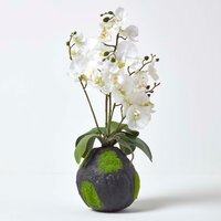 Homescapes White Phalaenopsis Artificial Orchid with Natural Base, 60 cm Tall - White - image 1