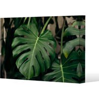 Monstera Leaves in home interior Canvas Print - Green / 91cm / 61cm - image 1