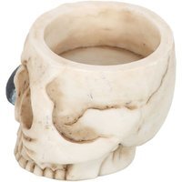 Skull Tealight Holder with Snake Haunted Home Decor Accent - Cream