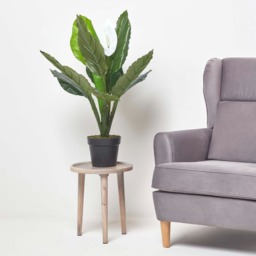 Homescapes Artificial Peace Lily Plant In Pot 90 cm Tall Spathe Flower - White - thumbnail 5