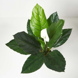 Homescapes Artificial Peace Lily Plant In Pot 90 cm Tall Spathe Flower - White - thumbnail 3
