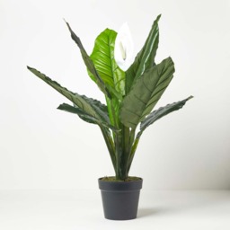 Homescapes Artificial Peace Lily Plant In Pot 90 cm Tall Spathe Flower - White - thumbnail 2