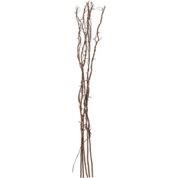 Brown Twig 60 Lights - Wood - thumbnail 4
