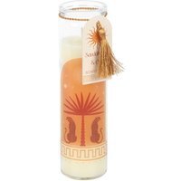 Leopard Palm Sandalwood Oud Tube Candle Vegan Burn - Brown