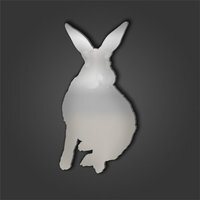 Rabbit Style 6 Silver Acrylic Mirror - Silver / 50cm / No Engravement