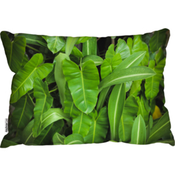 Abstract Background Of Dark Green Leaves Cushion - Green - thumbnail 2