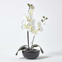 Homescapes Oriental Style Cream Orchids in Black Bowl - Cream - image 1