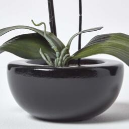 Homescapes Oriental Style Cream Orchids in Black Bowl - Cream - thumbnail 3