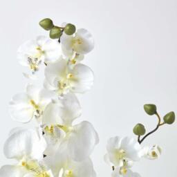 Homescapes Oriental Style Cream Orchids in Black Bowl - Cream - thumbnail 4
